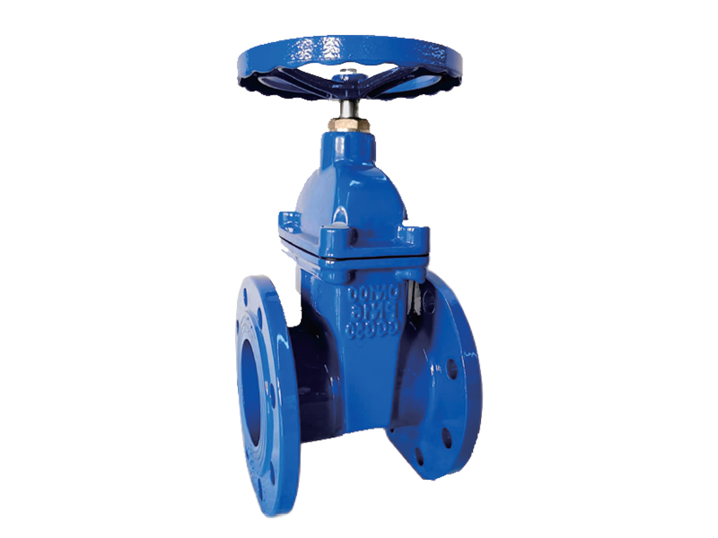 Gate Valve