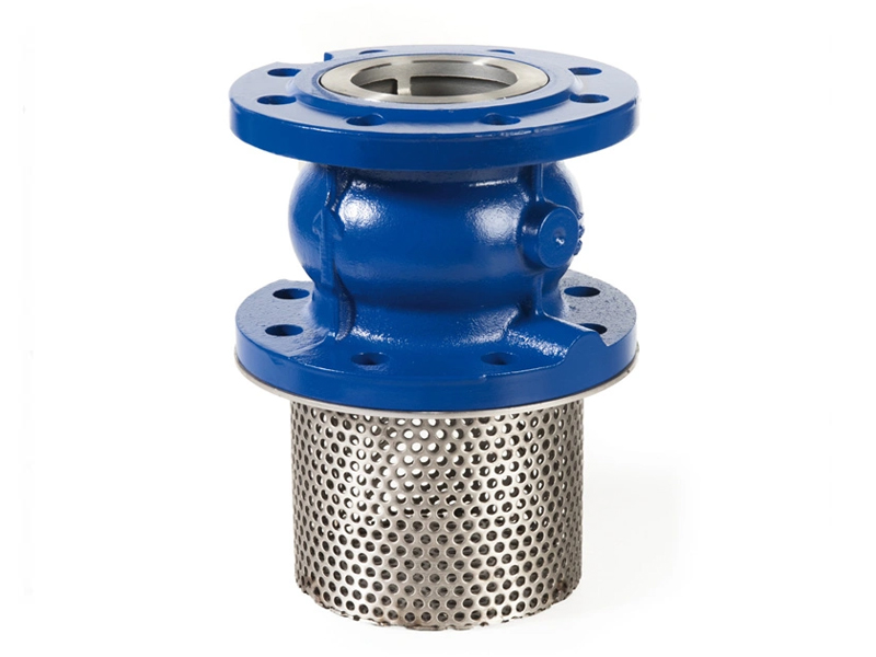 Ductile Cast iron Screen Type Foot Valve Supplier in Saudi Arabia