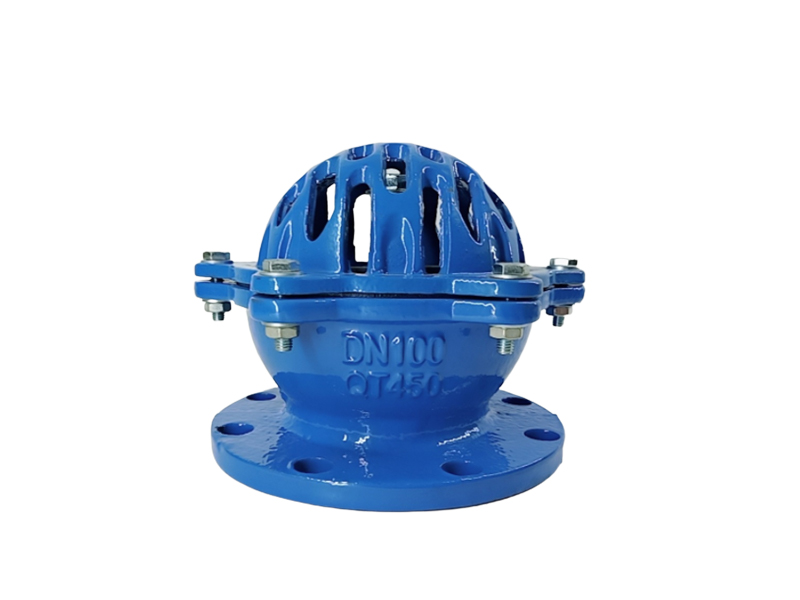 Cast Iron Foot Valve Supplier Saudi Arabia